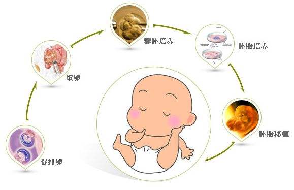 济南人工授精